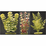 Fake Freshwater Plants