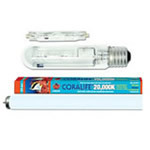 Replacement Lamps / Bulbs