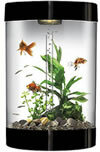 8-9 Gallon Aquariums