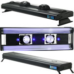 Aquatic Life Lighting