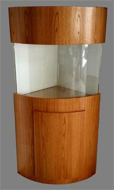 Corner Bow Front Aquarium Setups