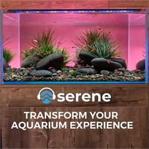 Current USA Serene Series