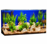 SeaClear 4-Feet Long (48")