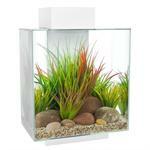 10-15 Gallon Aquariums