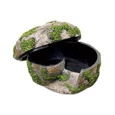 Terrarium Rocks + Decor