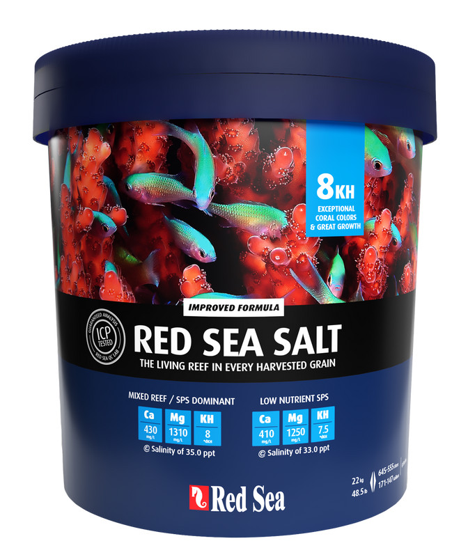 red-sea-salt-