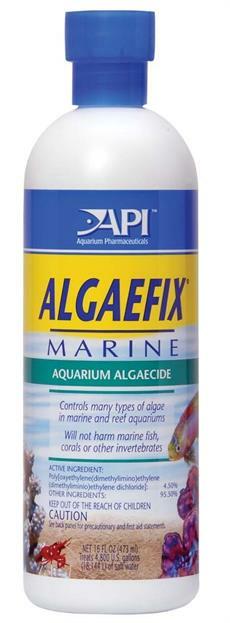 API Saltwater Products