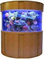 300 Gallon Aquariums