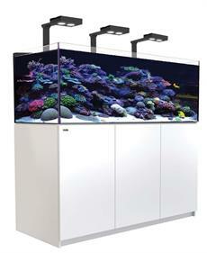 Fish Tanks - Fish Tanks by Shape - Rectangle - 5-Feet Long (60) - Page 1 - Fish  Tanks Direct