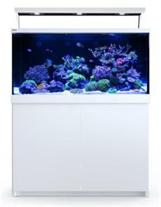 Seachem Purigen 500 ml 163 @ Fish Tanks Direct