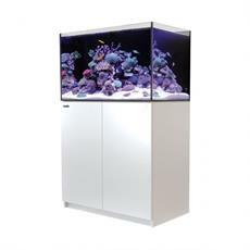 3-Feet (36") Long Rectangular Setups