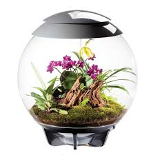 BiOrb Air - Terrarium Deco