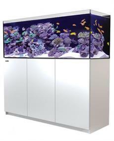 Rectangle Aquarium Setups