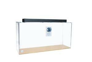 Clear for Life rectangle aquariums
