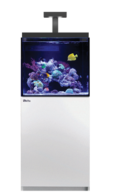 2-Feet Long Glass Rectangle Aquariums