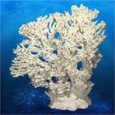 Artificial coral and custom aquarium decorations– RocknReefs Inc.