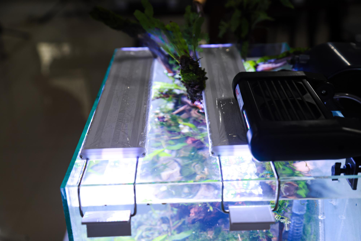 Maintaining Your Aquarium Filter Like a Pro: An Expert Guide - Fish ... - Aquatic Filter Systems For Aquariums With Modulating Link