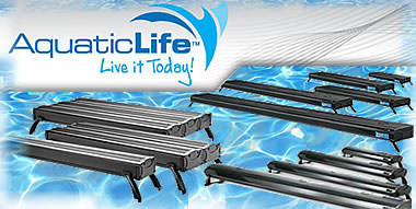 aquaticlife-cat-banner.jpg