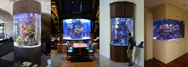 custom aquariums hawaii