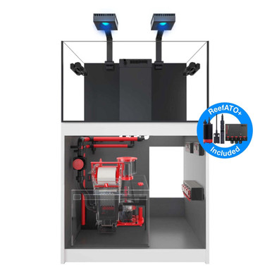 redsea reefer 250 v3 貯水タンク Red Sea Reefer v3 Sump Tour/Review - YouTube