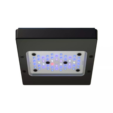 EcoTech Radion XR15 BLUE G6