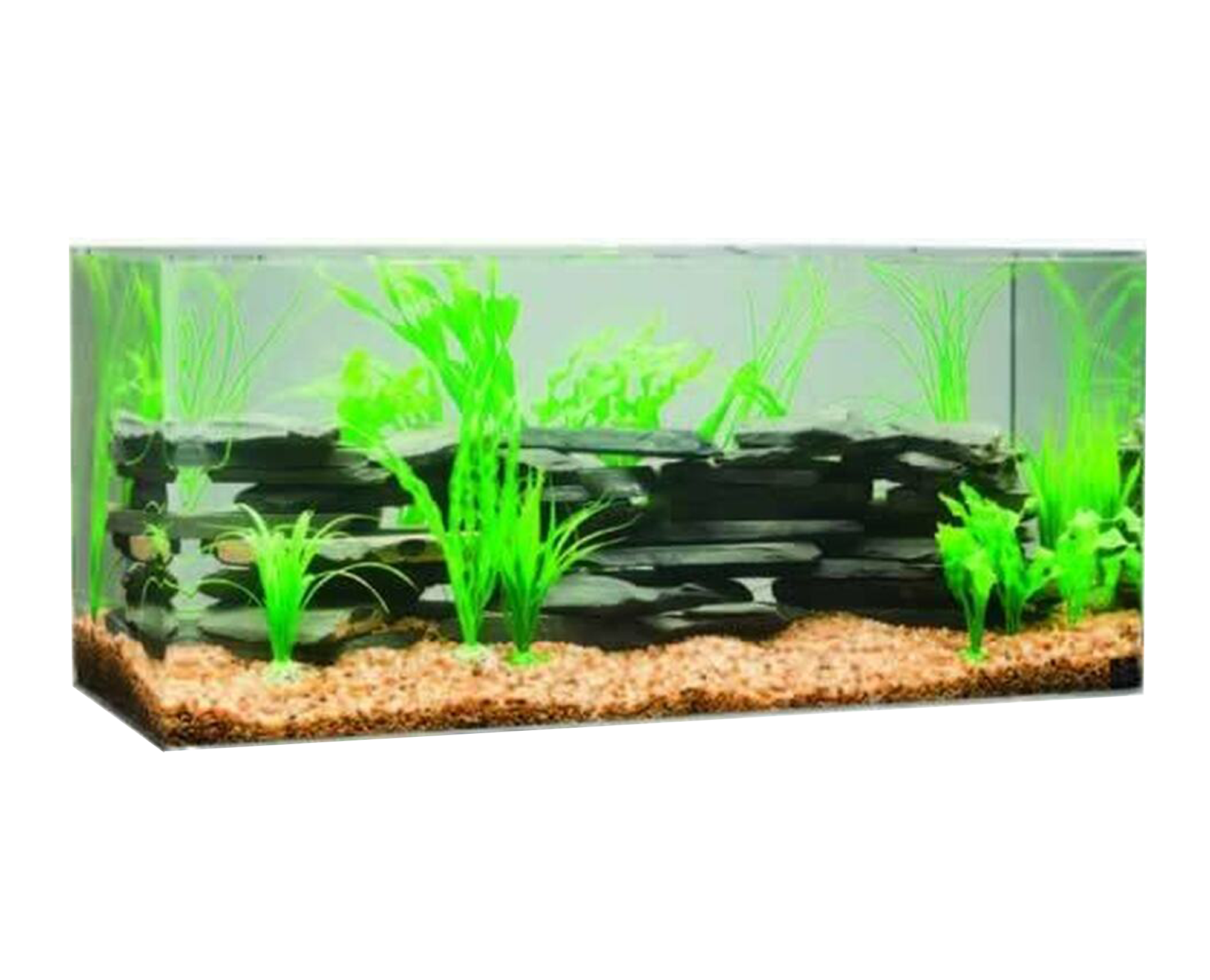 The Best Fish Tank Moving Services in Florida