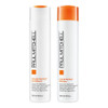 Paul Mitchell Color Protect Hair Duo