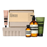 Aesop Congruous Elaborate Body Kit