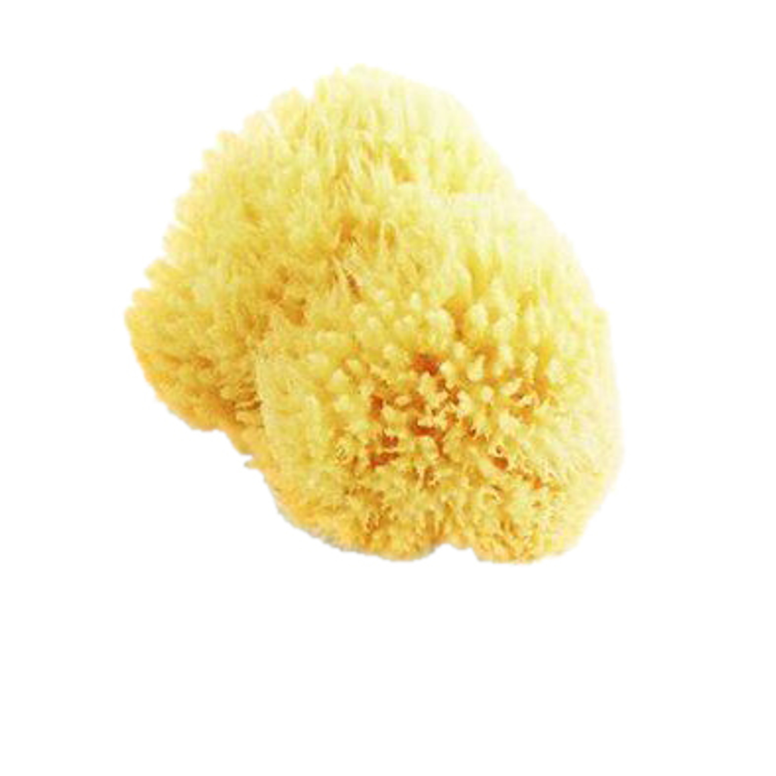 Natural Sea Sponge Grass Sponge | Bath & Unwind | Official Stockist