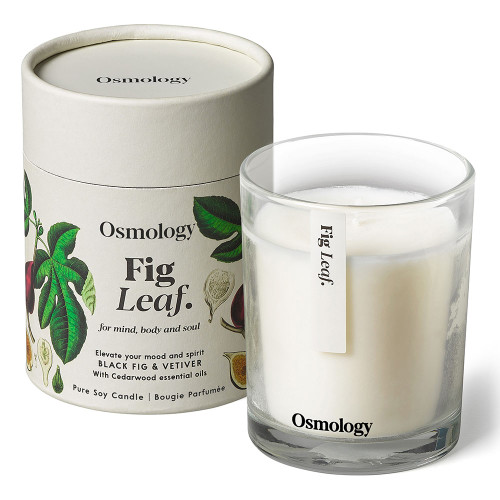 Osmology By Aery Fig Leaf Scented Candle