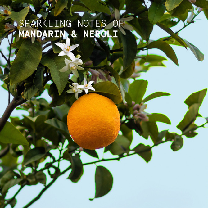 Korres Mandarin Neroli Hand Cream 50ml