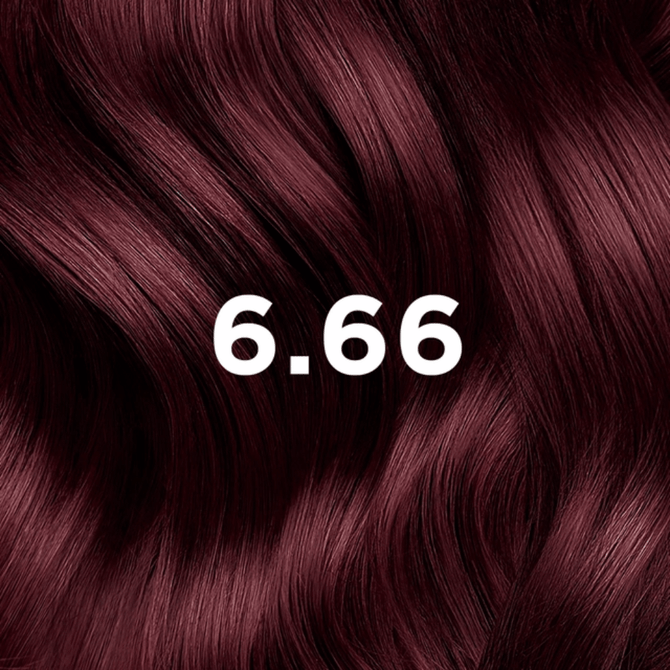 Phyto PhytoColor Kit 6.66 - Intense Cherry Red Brown