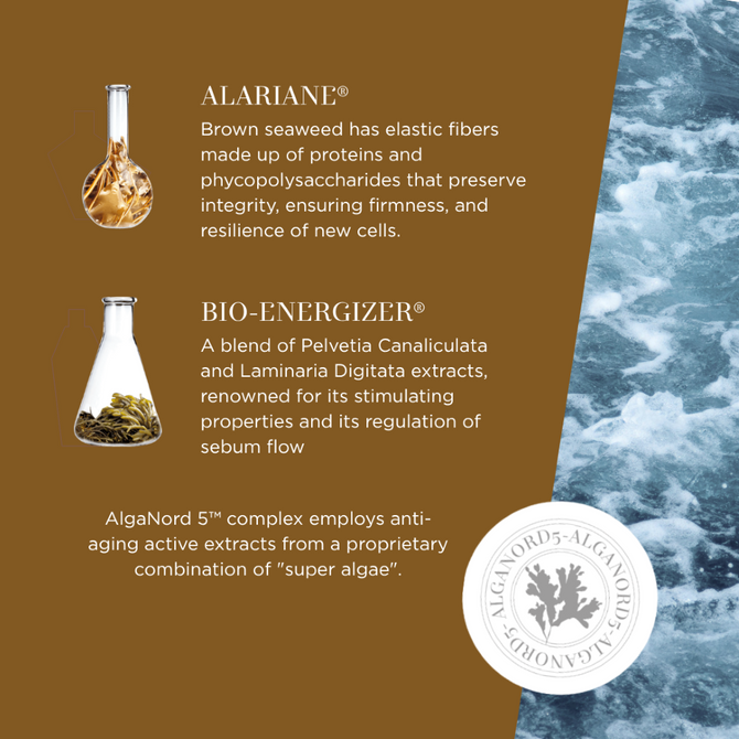 L'Alga Seanord5 Glowing Oil 85ml