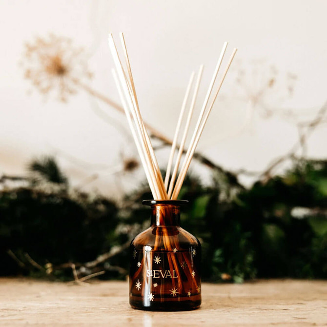 St Eval Mini Winter Thyme Christmas Mini Diffuser