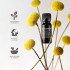 Aromatherapy Associates Calm Confidence Pure Essential Oil 10ml