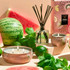 Voluspa Kalahari Watermelon Reed Diffuser