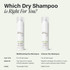 Paul Mitchell Multitasing Dry Shampoo 100ml