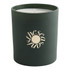 The Seasonist Daffodil Dew Fragrant Candle 200g