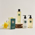 The Seasonist Daffodil Dew Fragrant Reed Diffuser 200ml