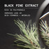 Korres Black Pine 4D BioShapeLift Intense Day Cream