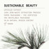 Korres Black Pine 4D BioShapeLift Intense Day Cream