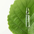 Dr. Hauschka Calm & Balance Ampoules