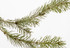 Susanne Kaufman Mountain Pine Bath