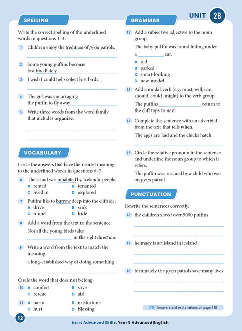 Excel Advanced Skills - Advanced English Workbook Year 5 | Pascal Press
