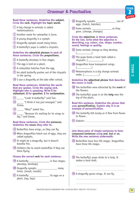 Targeting Homework Pdf Review Targeting English Homework Year 3 | Pascal Press
