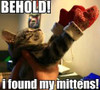 Kitten Mittens
