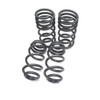 Dynamic+ Lowering Springs for B9 Audi A4/Allroad