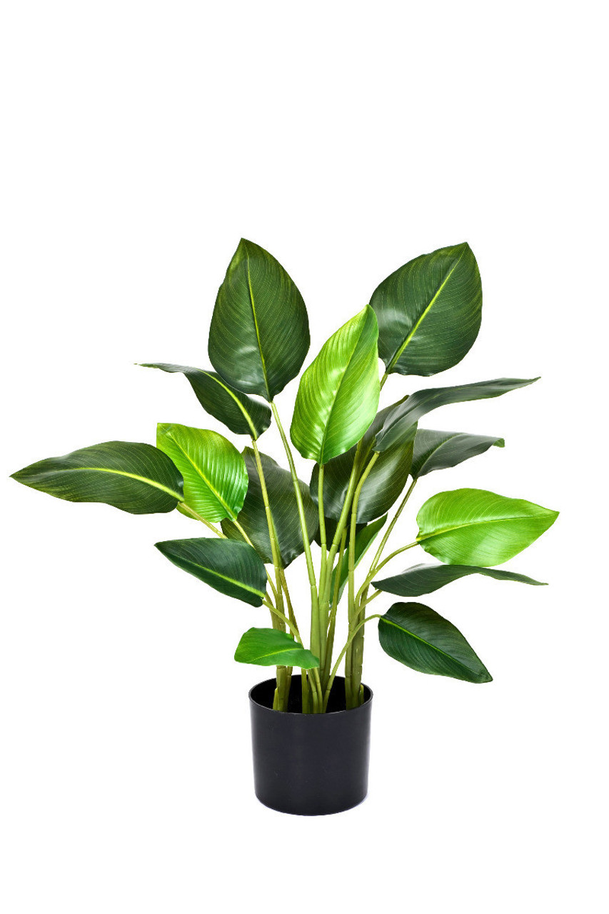 Artificial 78cm Real Touch Strelitzia Potted Plant