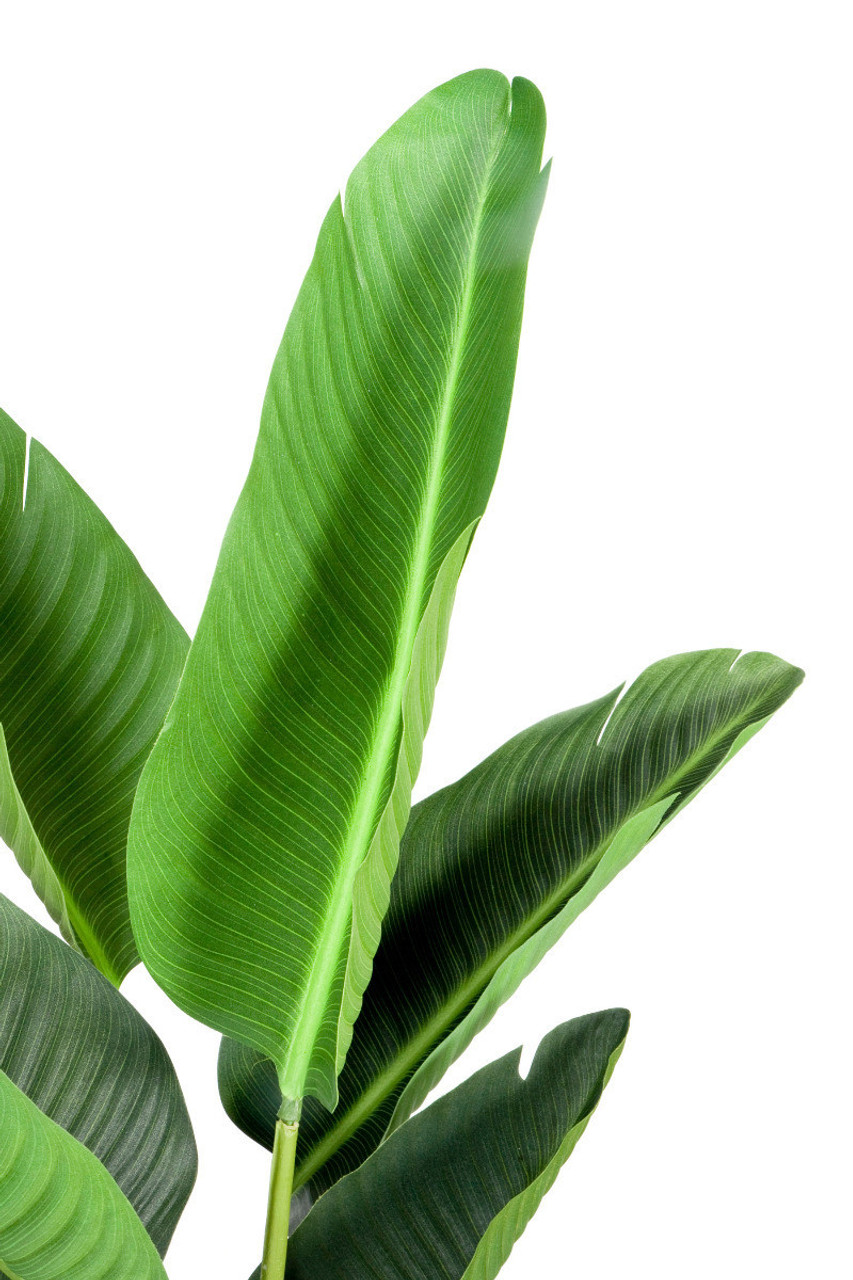 Artificial 120cm Real Touch Bird of Paradise Tree in Pot
