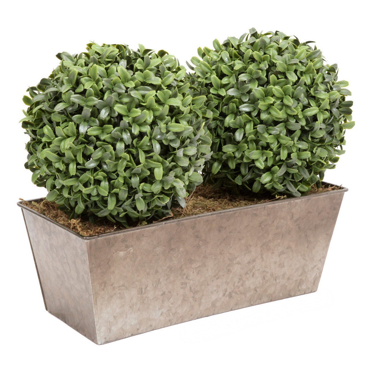 Artificial Topiary Aglaia Boxwood 35cm Window Box Tin Planter Double Ball Rustic